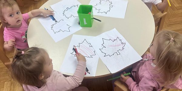 IMG-20250924-WA0008 IMG-20250924-WA0008